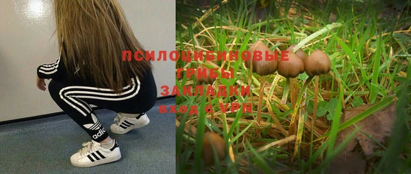 гашик Михайловка