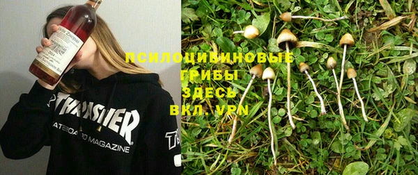 винт Медногорск