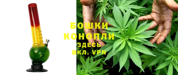 гашик Михайловка