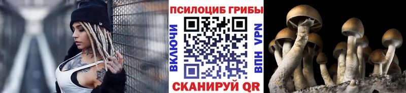 Галлюциногенные грибы Cubensis купить закладку Циолковский